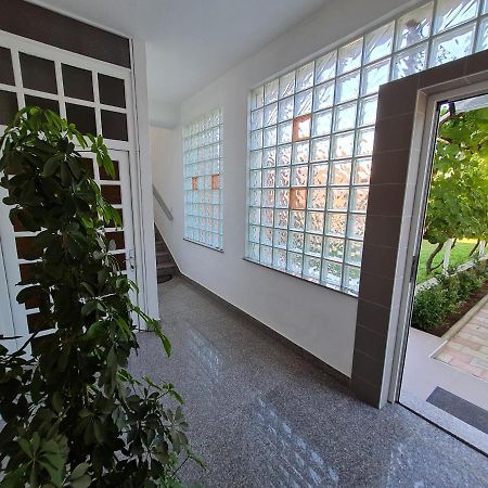 Guest House Barba Bibinje Exterior foto